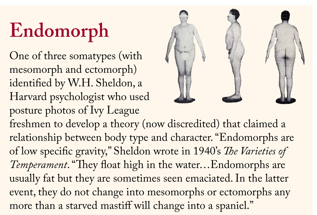 endomorph shape