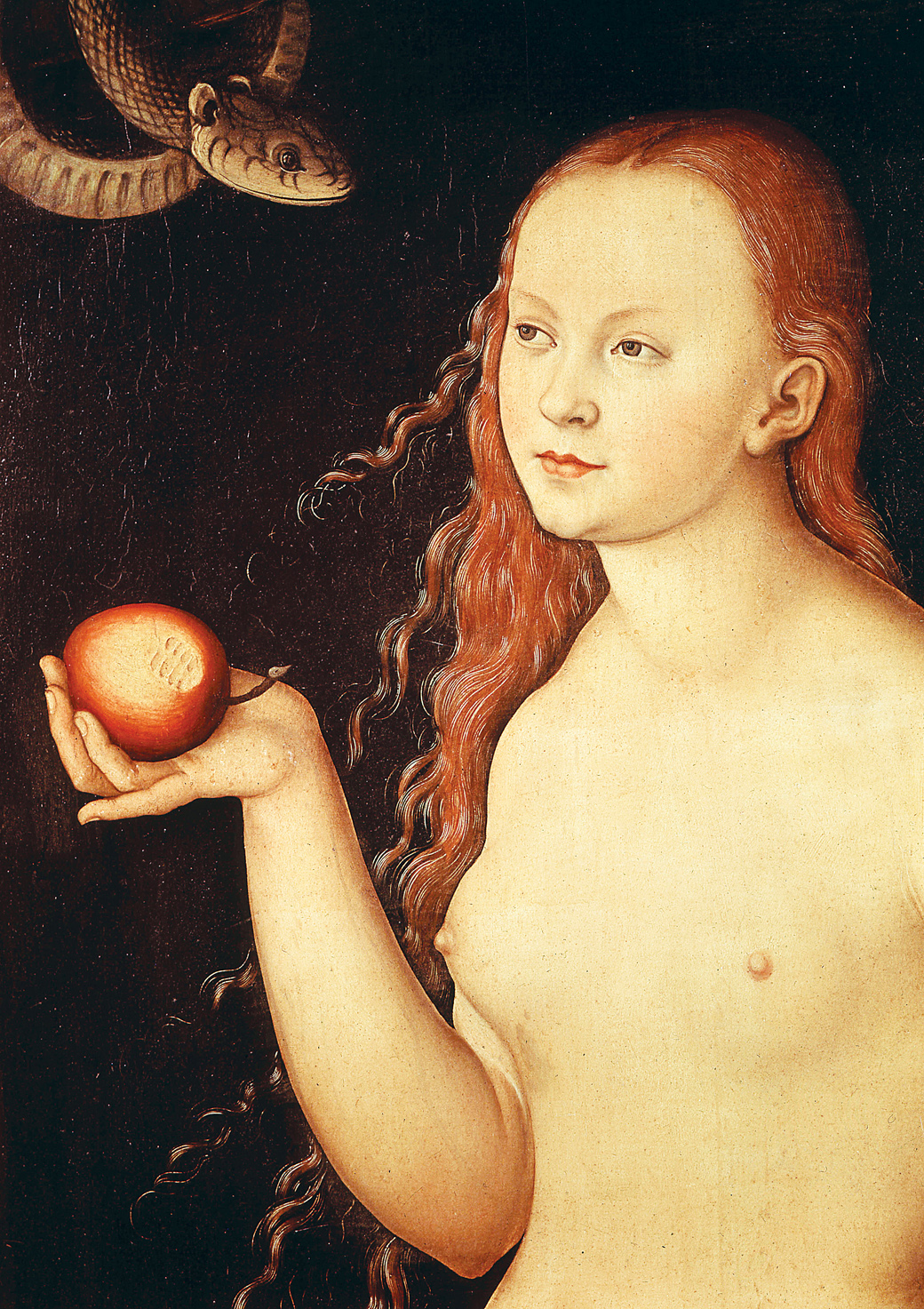 Adam and Eve (detail), by Lucas Cranach the Elder, 1528. Uffizi Gallery, Florence, Italy.