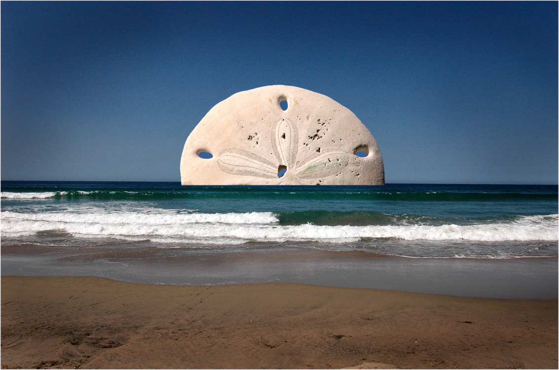 “Nr. 9,” from The PS-series, by Michel Szulc Krzyzanowski, 2007–2008.